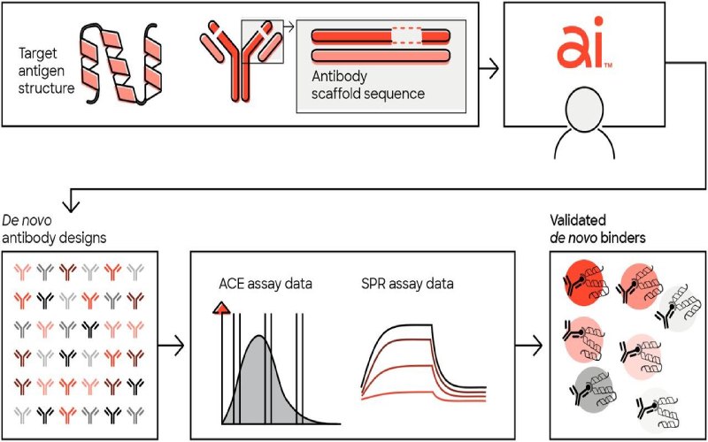 AI in Antibody Discovery and Manufacturing: The 2025 Frontier – KinesisDx