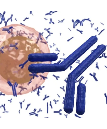 Polyclonal Antibodies