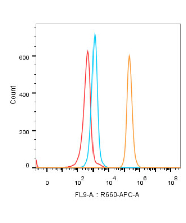 CD40 Rabbit Monoclonal Antibody