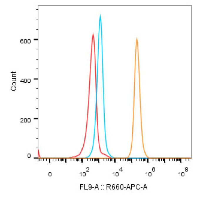 CD40 Rabbit Monoclonal Antibody