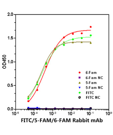 FITC/5-FAM/6-FAM Rabbit Monoclonal Antibody