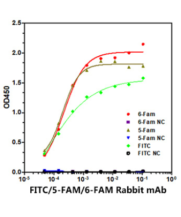 FITC/5-FAM/6-FAM Rabbit Monoclonal Antibody