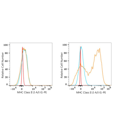 MHC Class II (I-A/I-E) Rat Monoclonal Antibody