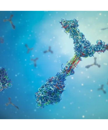 Immunology