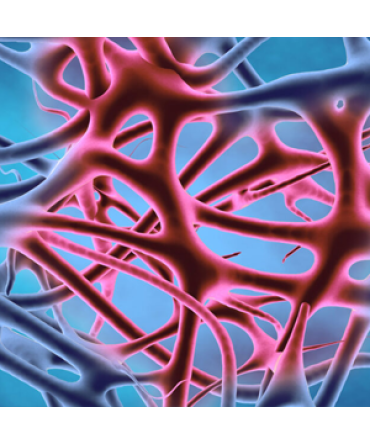 Inflammation