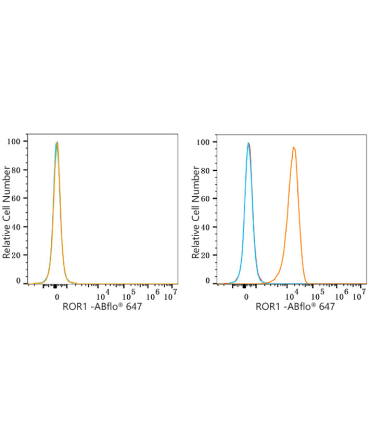 ROR1 Rabbit Monoclonal Antibody