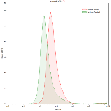 Mouse Anti-Poly ADP Ribose Polymerase (PARP) Polyclonal Antibody