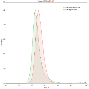 Anti-Heterogeneous Nuclear Ribonucleoprotein A2/B1 (HNRPA2B1) Human Polyclonal Antibody