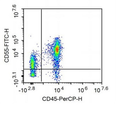 FITC-Linked Anti-Cluster Of Differentiation 55 (CD55) Human Monoclonal Antibody