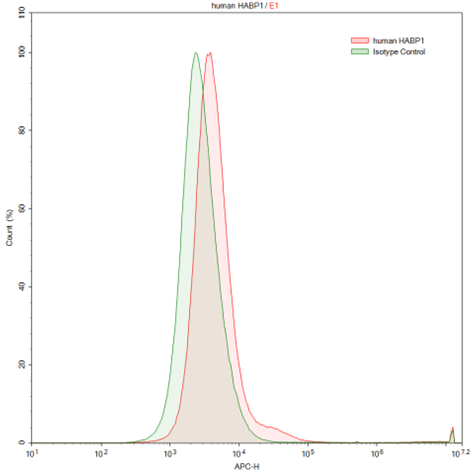 Anti-Complement component 1 Q subcomponent-binding protein, mitochondrial (C1QBP) Human Polyclonal Antibody