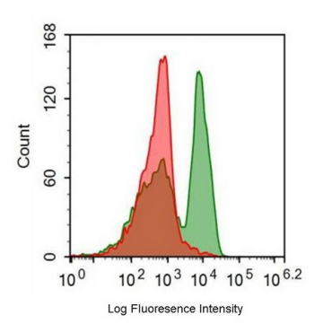 FITC-Linked Anti-Cluster Of Differentiation 28 (CD28) Human Monoclonal Antibody