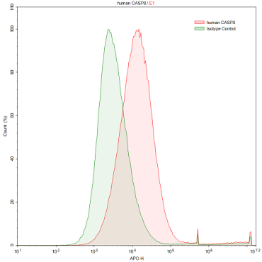 Anti-Caspase 8 (CASP8) Human Polyclonal Antibody