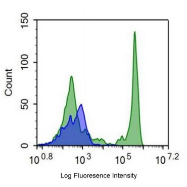 FITC-Linked Anti-Protein Tyrosine Phosphatase Receptor Type C (CD45) Human Monoclonal Antibody