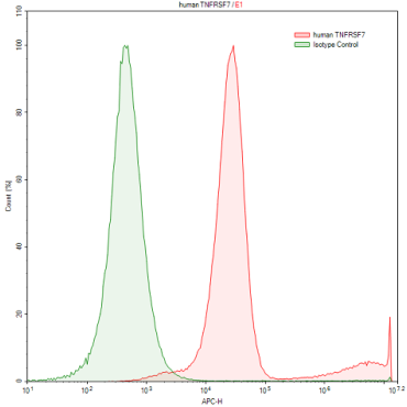 Anti-Tumor Necrosis Factor Receptor Superfamily, Member 7 (TNFRSF7) Human Polyclonal Antibody