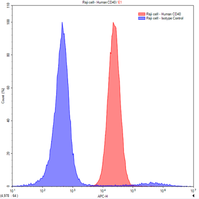 Anti-Tumor Necrosis Factor Receptor Superfamily, Member 5 (CD40) Human Polyclonal Antibody