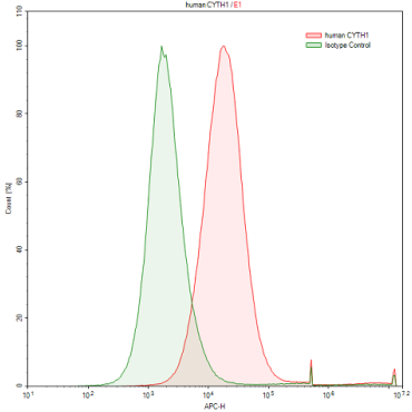 Anti-Cytohesin 1 (CYTH1) Human Polyclonal Antibody