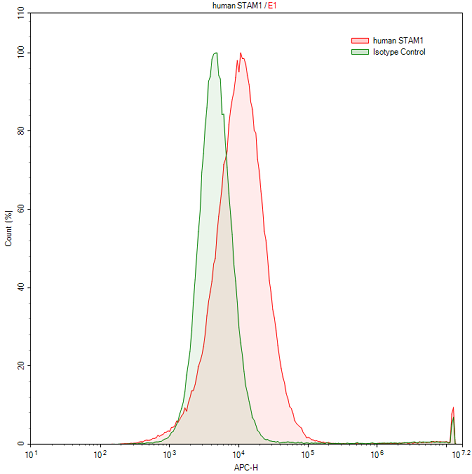 Anti-Signal Transducing Adaptor Molecule 1 (STAM1) Human Polyclonal Antibody