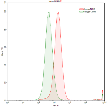 Anti-B-Cell Linker Protein (BLNK) Human Polyclonal Antibody