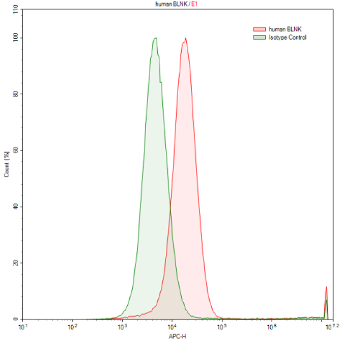 Anti-B-Cell Linker Protein (BLNK) Human Polyclonal Antibody