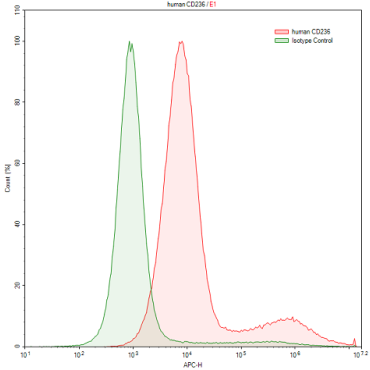 Anti-Glycophorin C (GYPC) Human Polyclonal Antibody