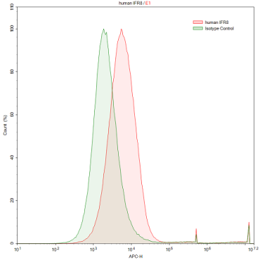 Anti-Interferon Regulatory Factor 8 (IRF8) Human Polyclonal Antibody