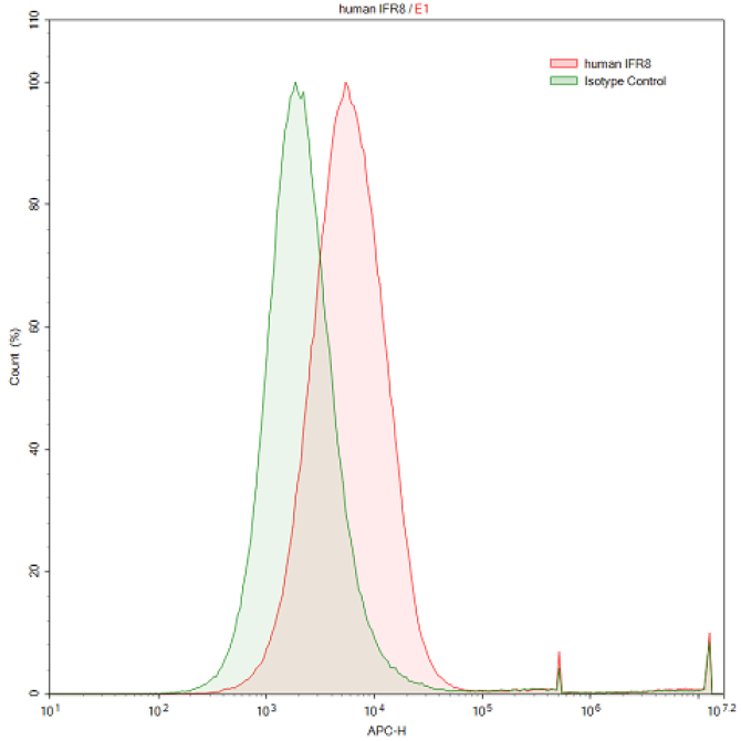 Anti-Interferon Regulatory Factor 8 (IRF8) Human Polyclonal Antibody