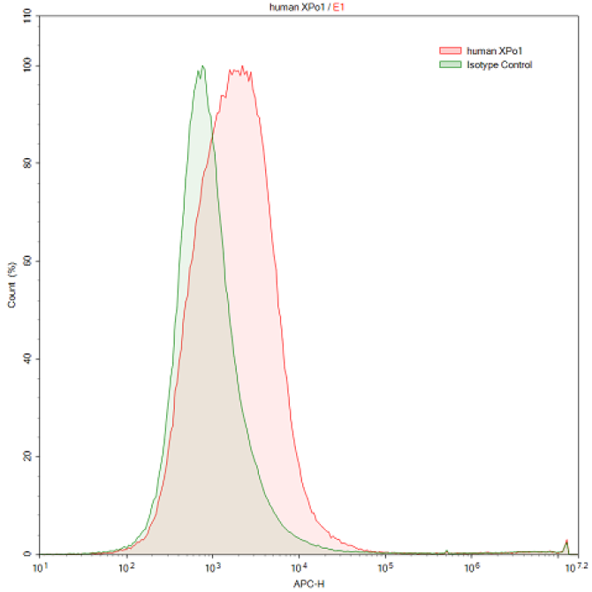 Anti-Exportin 1 (XPO1) Human Polyclonal Antibody