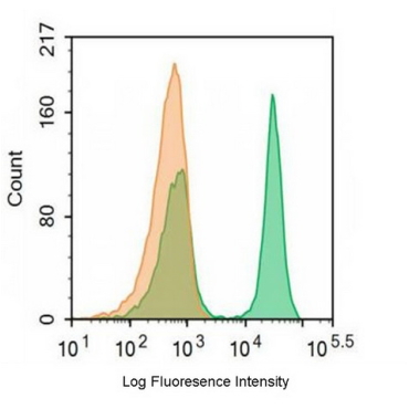 FITC-Linked Anti-T-Cell Surface Glycoprotein CD3 Epsilon (CD3e) Human Monoclonal Antibody