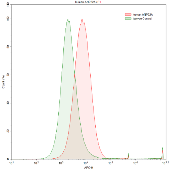 Anti-Acidic Nuclear Phosphoprotein 32 Family, Member A (ANP32A) Human Polyclonal Antibody
