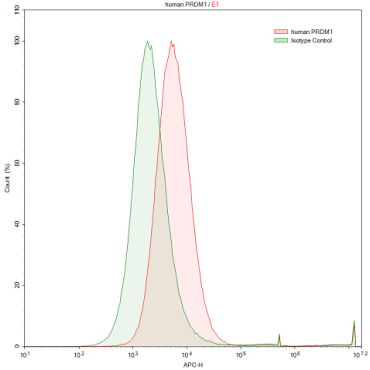 Anti-PR Domain Containing Protein 1 (PRDM1) Human Polyclonal Antibody