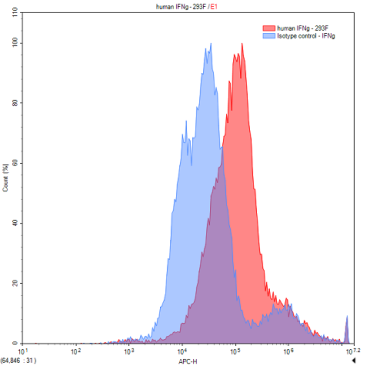 Interferon Gamma (IFNg) Human Polyclonal Antibody