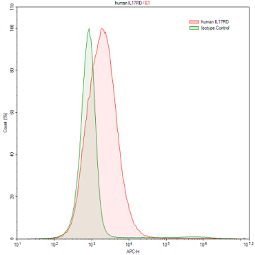 Interleukin 17 Receptor D (IL17RD) Human Polyclonal Antibody