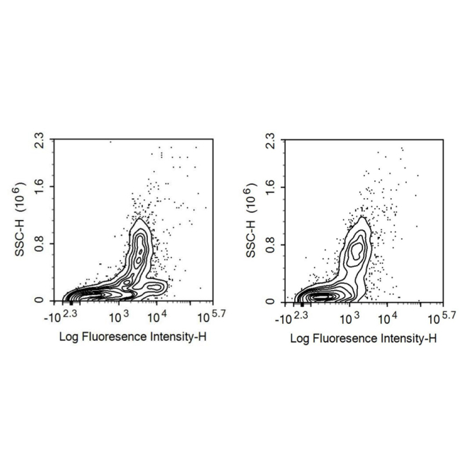 Cluster Of Differentiation 33 (CD33) Human Recombinant Antibody