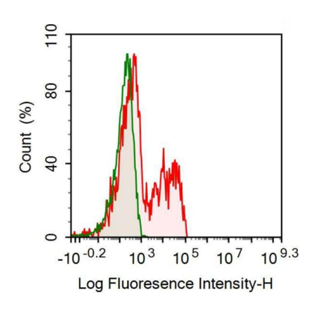 Interferon Gamma (IFNg) Human Recombinant Antibody