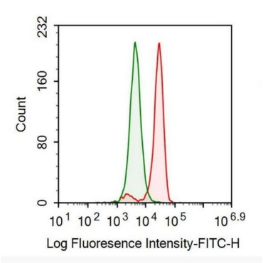 Insulin Like Growth Factor 1 (IGF1) Human Recombinant Antibody