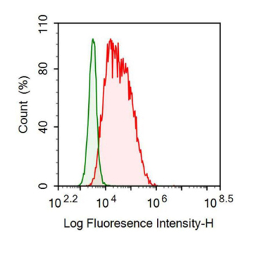 Mucin 1 (MUC1) Human Recombinant Antibody