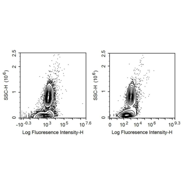 Cluster Of Differentiation 38 (CD38) Human Recombinant Antibody