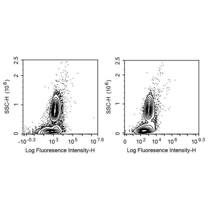 Cluster Of Differentiation 38 (CD38) Human Recombinant Antibody