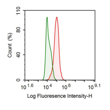 Epidermal Growth Factor Receptor (EGFR) Human Recombinant Antibody