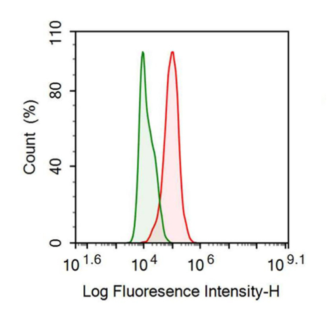 Epidermal Growth Factor Receptor (EGFR) Human Recombinant Antibody