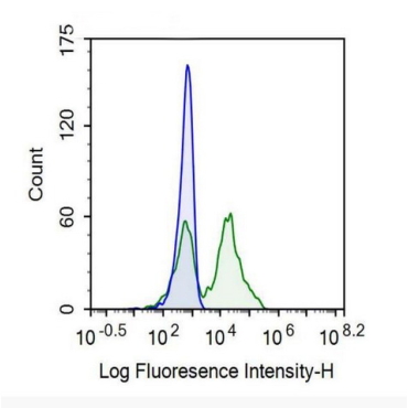 Cluster Of Differentiation 26 (CD26) Human Recombinant Antibody