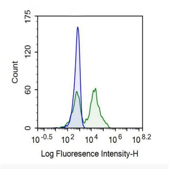 Cluster Of Differentiation 26 (CD26) Human Recombinant Antibody