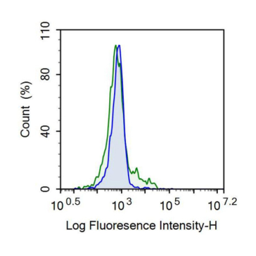 Chemokine C-C-Motif Receptor 5 (CCR5) Human Recombinant Antibody