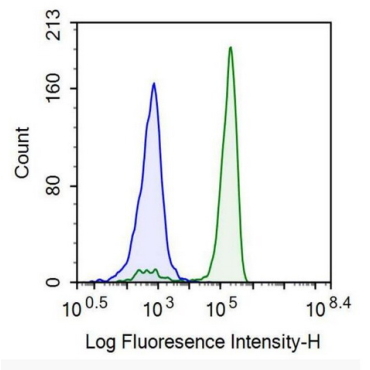 Protein Tyrosine Phosphatase Receptor Type C (CD45) Human Recombinant Antibody