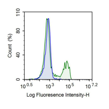 Cluster Of Differentiation 8a (CD8a) Human Recombinant Antibody