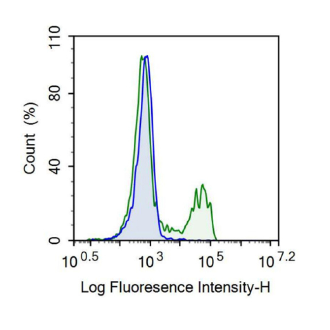 Cluster Of Differentiation 8a (CD8a) Human Recombinant Antibody