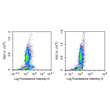 Cluster Of Differentiation 56 (CD56) Human Recombinant Antibody