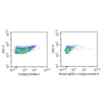 Integrin Alpha 2 (ITGa2) Human Recombinant Antibody