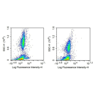 Cluster of Differentiation 79B (CD79B) Human Recombinant Antibody