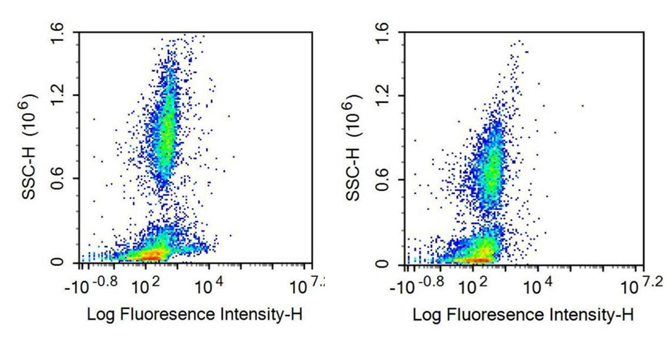Cluster of Differentiation 79B (CD79B) Human Recombinant Antibody